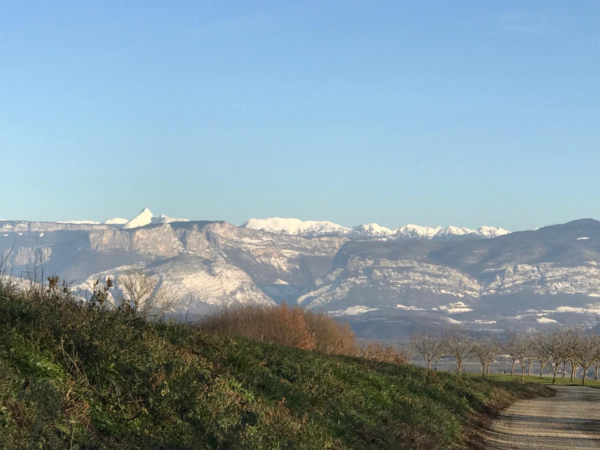Gites&Chambres D Hotes Les Granges Du Fournel Saint-Lattier Εξωτερικό φωτογραφία